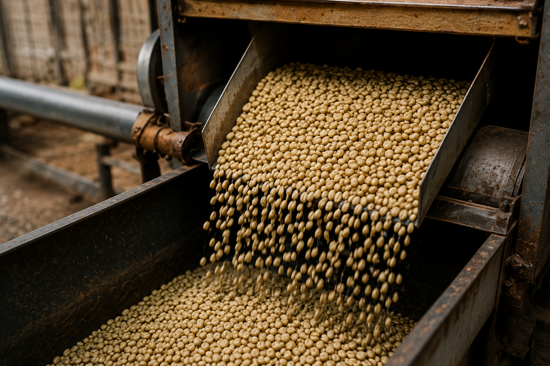 Why Do Coffee Drinkers Choose Organic Coffee?