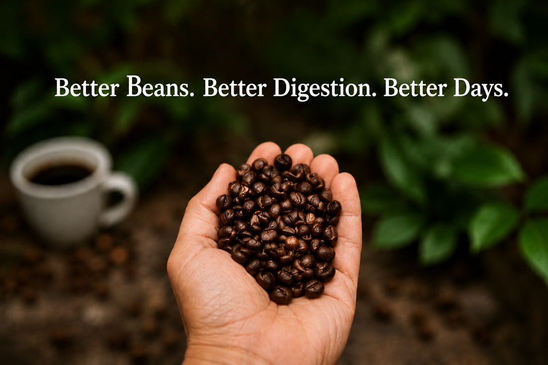Best Coffee Beans for Sensitive Stomachs