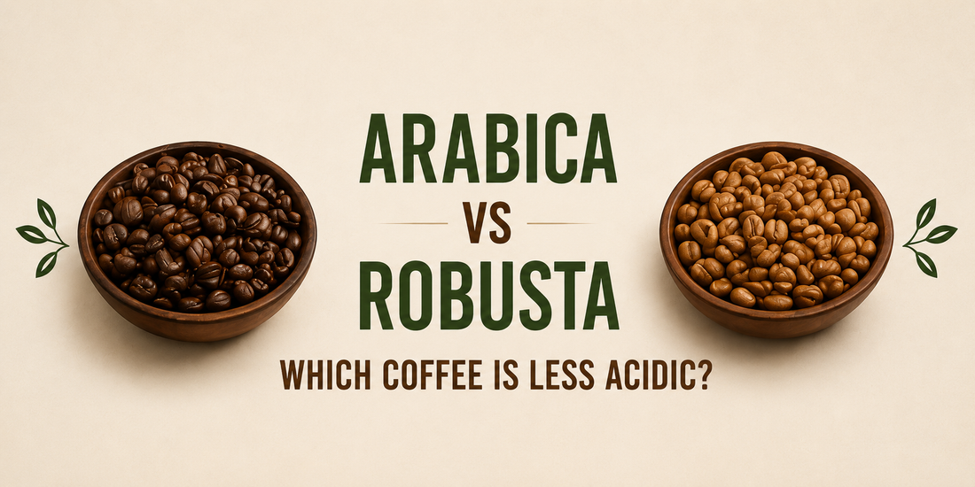Arabica vs Robusta: Which Coffee Is Less Acidic?